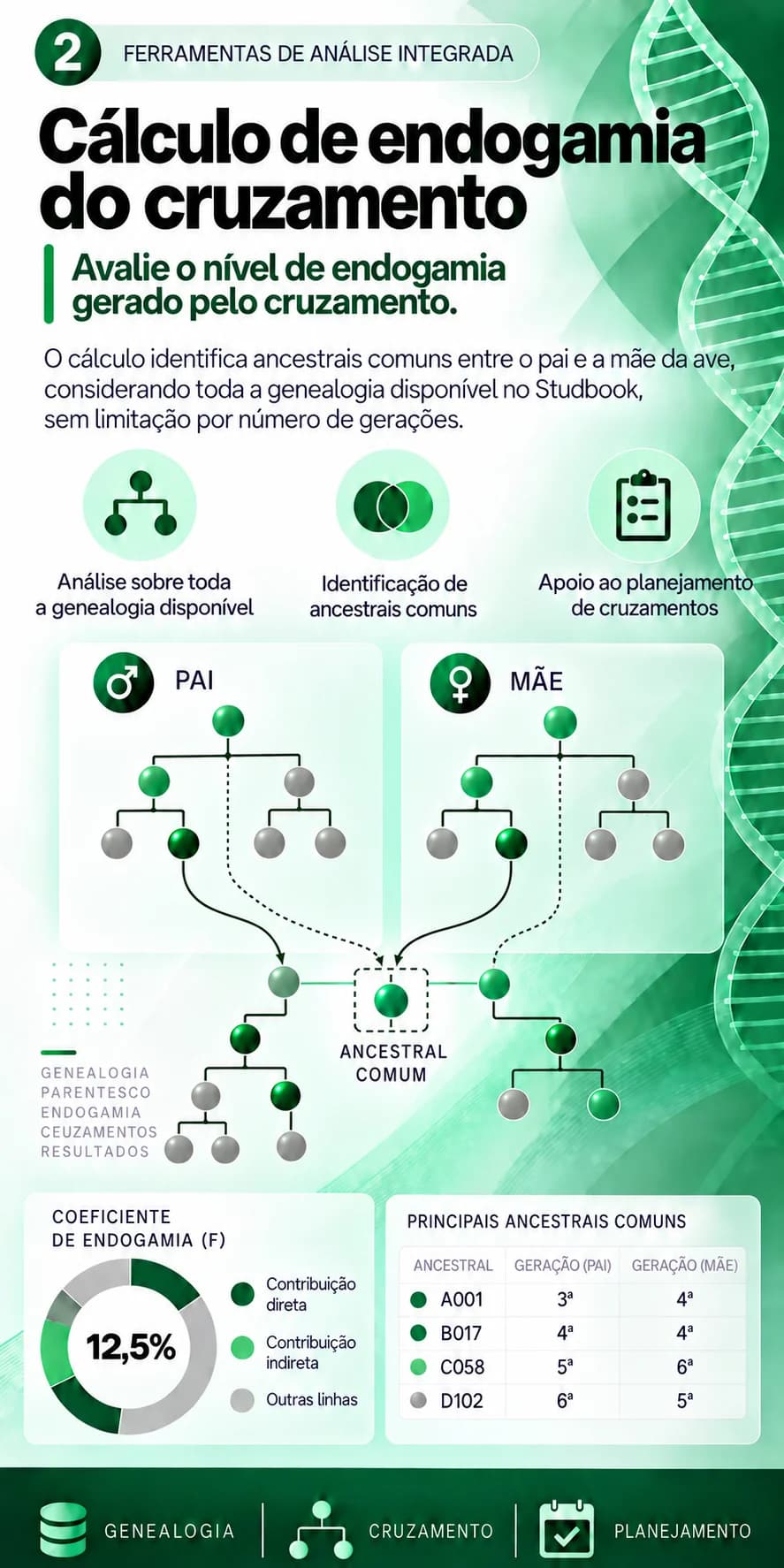Cálculo de endogamia do cruzamento: avalie o nível de endogamia gerado pelo cruzamento; análise sobre toda a genealogia disponível, identificação de ancestrais comuns, apoio ao planejamento de cruzamentos