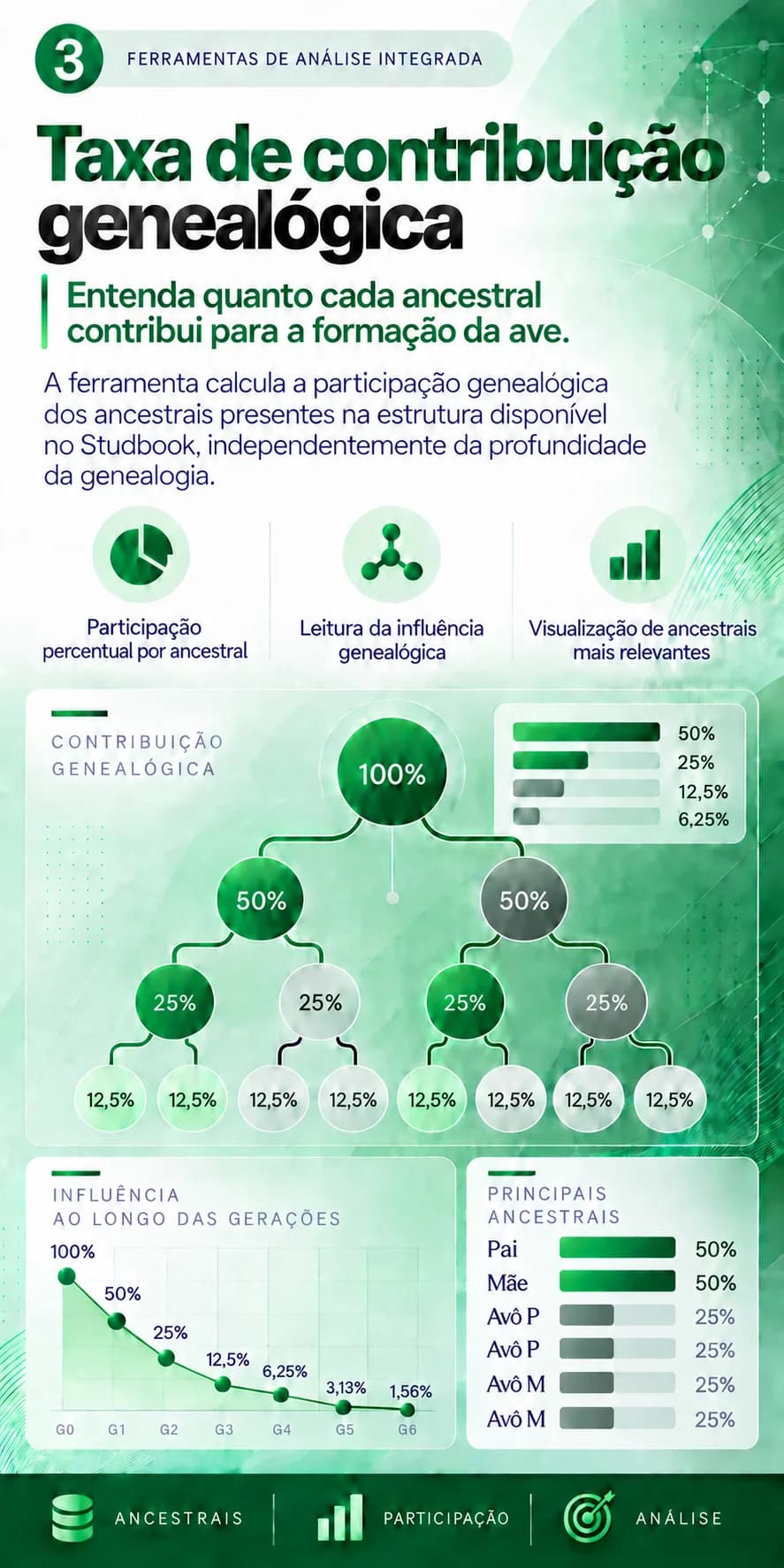 Taxa de contribuição genealógica: entenda quanto cada ancestral contribui para a formação da ave; participação percentual por ancestral, leitura da influência genealógica, visualização de ancestrais mais relevantes