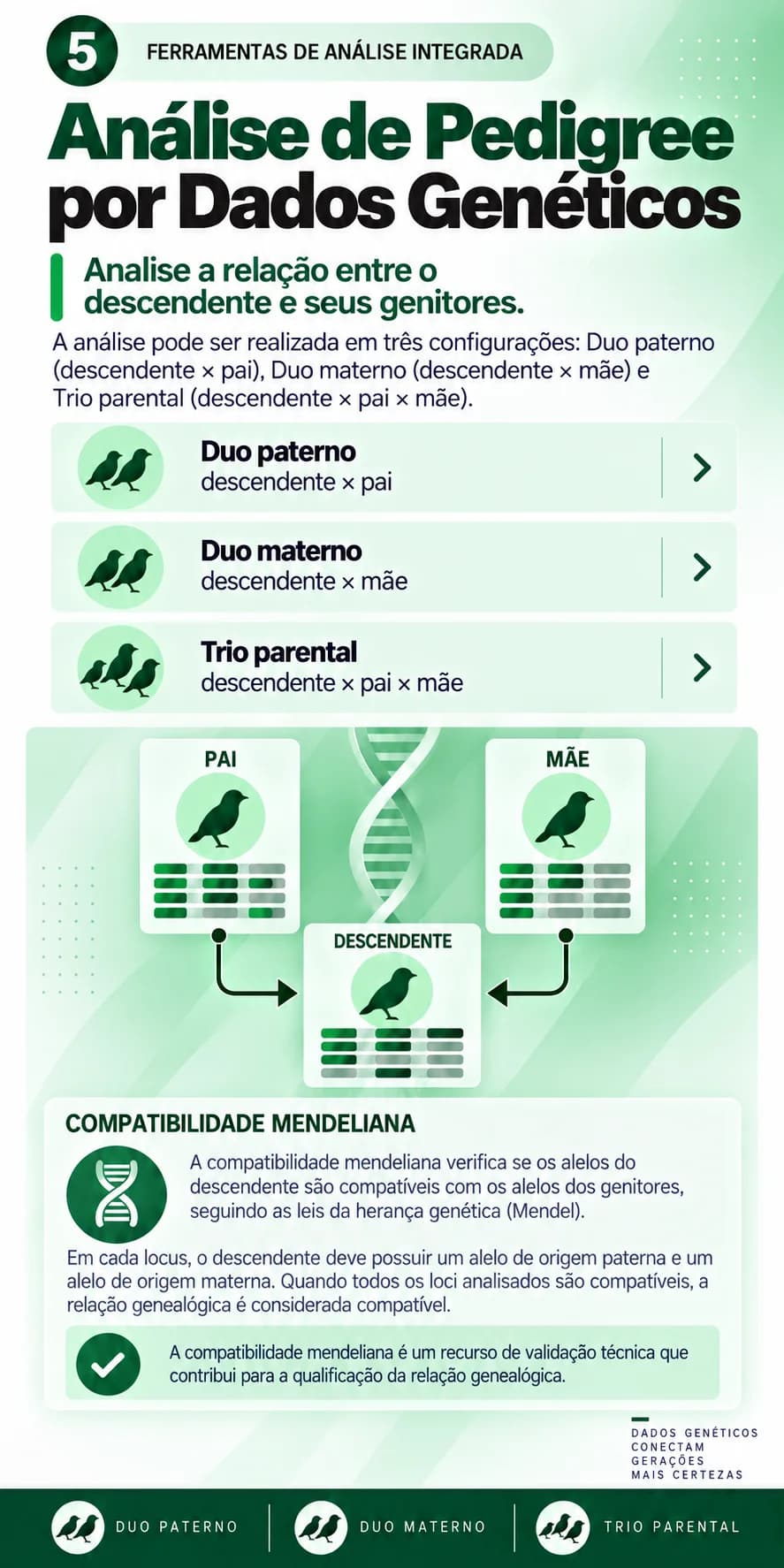 Análise de pedigree por dados genéticos: analise a relação entre o descendente e seus genitores em duo paterno, duo materno ou trio parental, com compatibilidade mendeliana