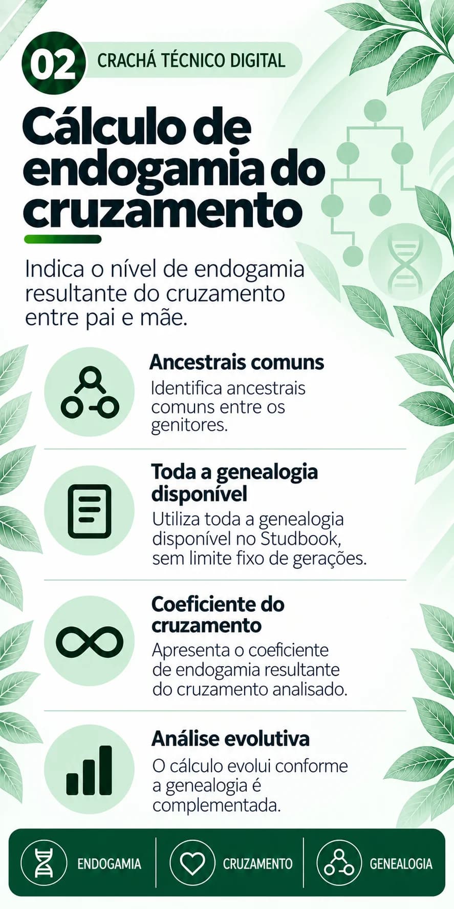 Cálculo de endogamia do cruzamento: ancestrais comuns, toda a genealogia disponível, coeficiente do cruzamento e análise evolutiva
