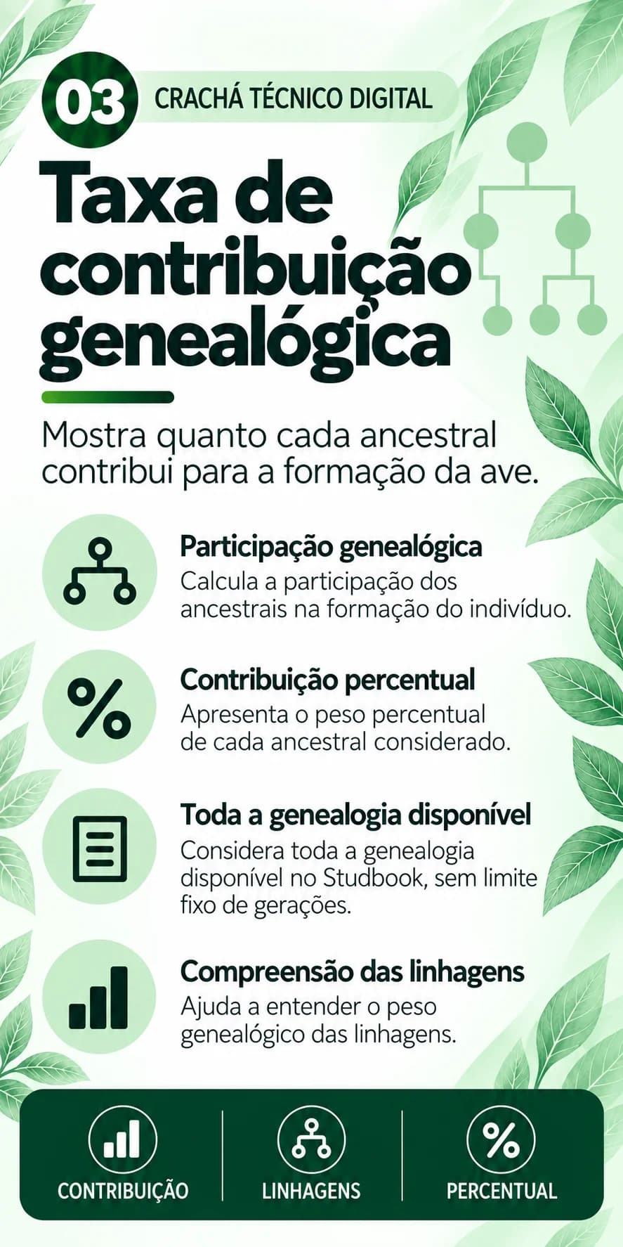 Taxa de contribuição genealógica: participação genealógica, contribuição percentual, toda a genealogia disponível e compreensão das linhagens