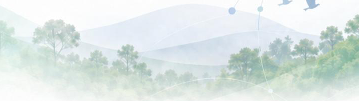 Paisagem de floresta com aves ao fundo